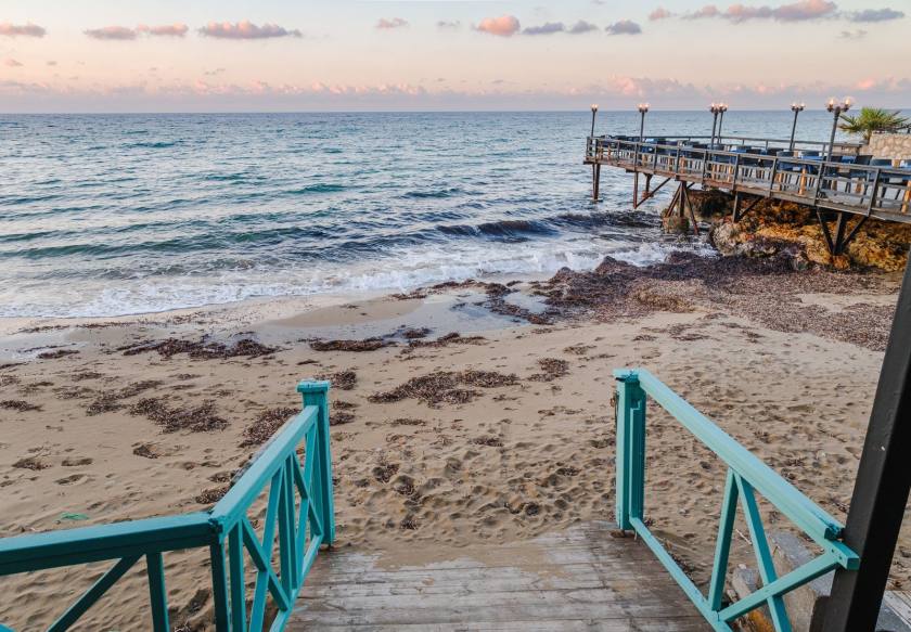 Driftwood Beach Bar & Restaurant